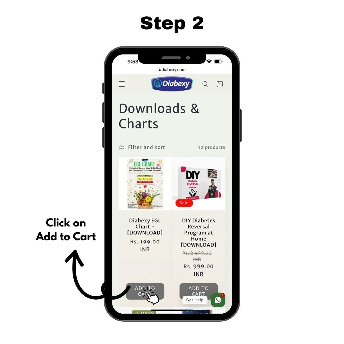 Step 2 of EGL Chart Download Process