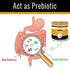 act as prebiotic